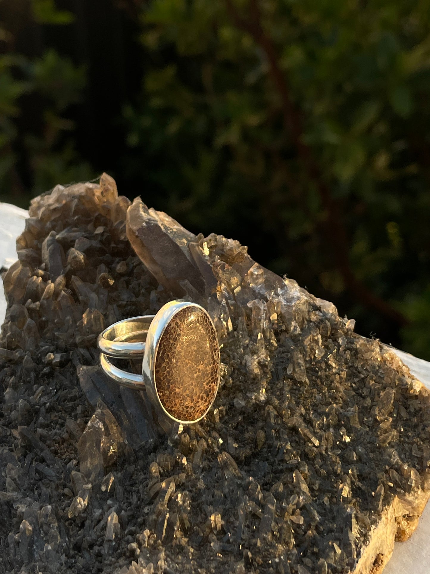 Fossilized Whale Bone Ring Size 8.5