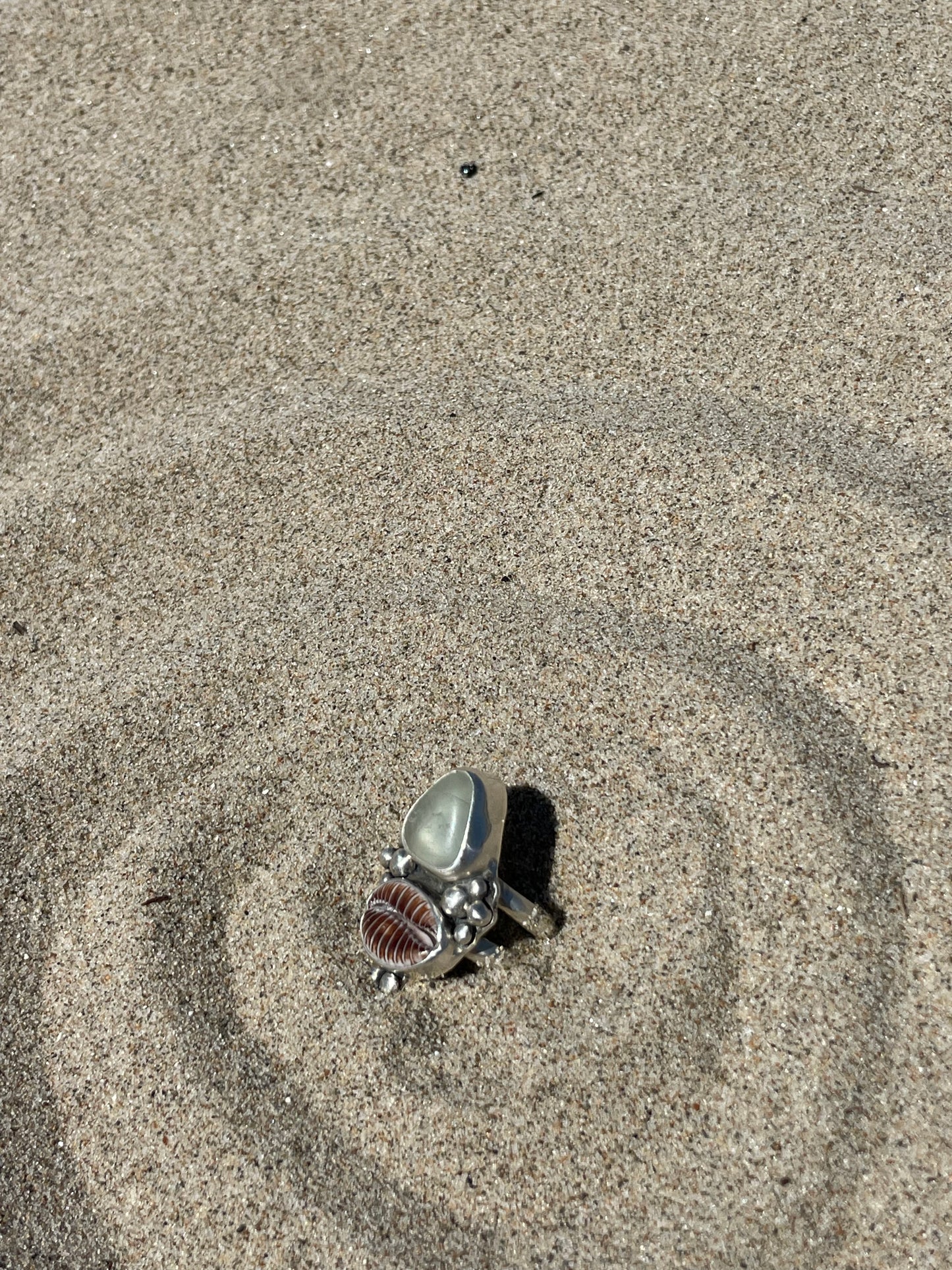 Fluorite & Brown Cowrie Shell Ring Size 5.5