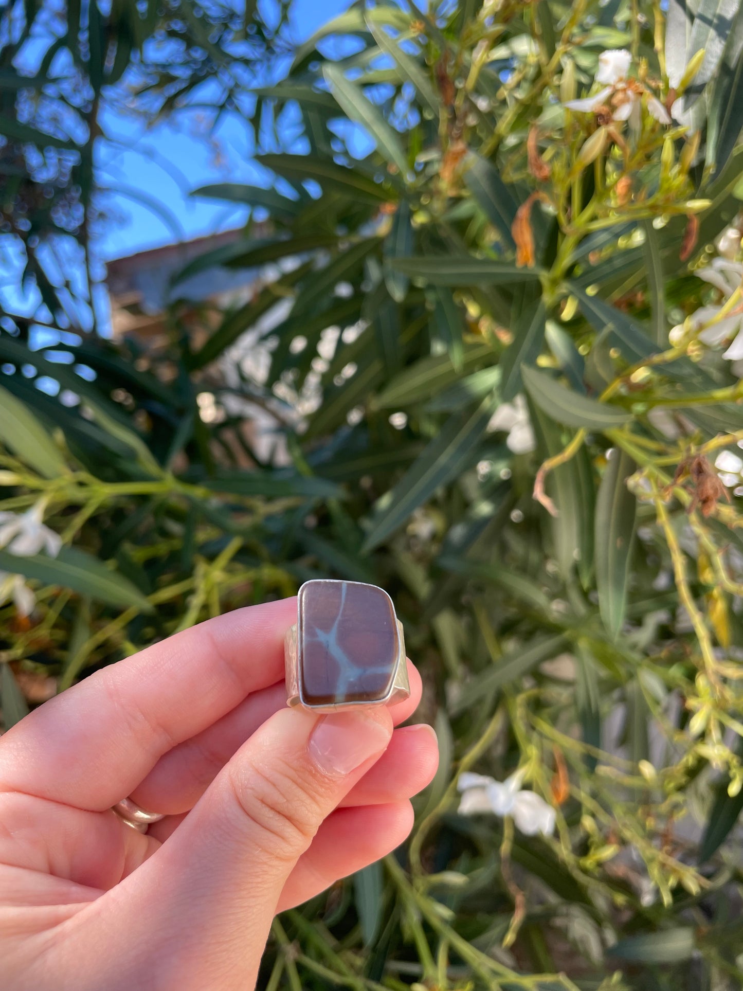 Brown & Blue Jasper Ring Size 10