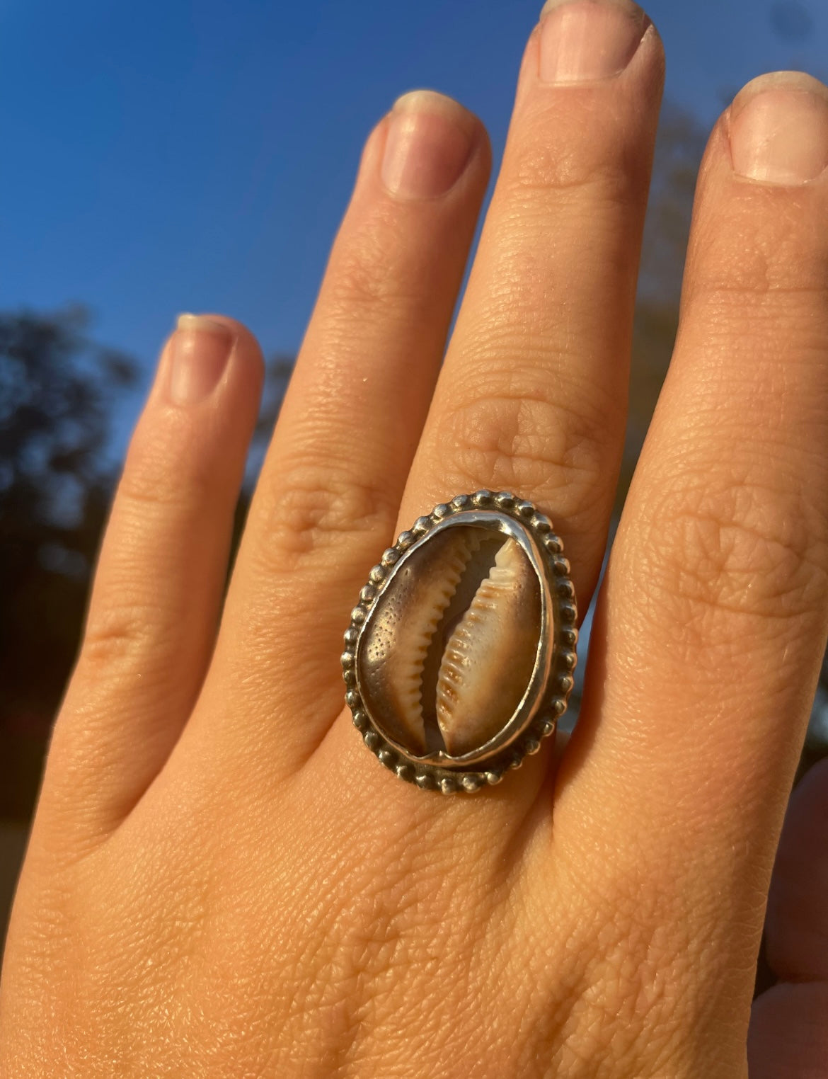 Brown Cowrie Statement Ring Size 7.5