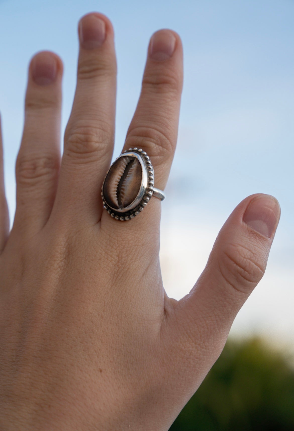 Brown Cowrie Statement Ring Size 7.5