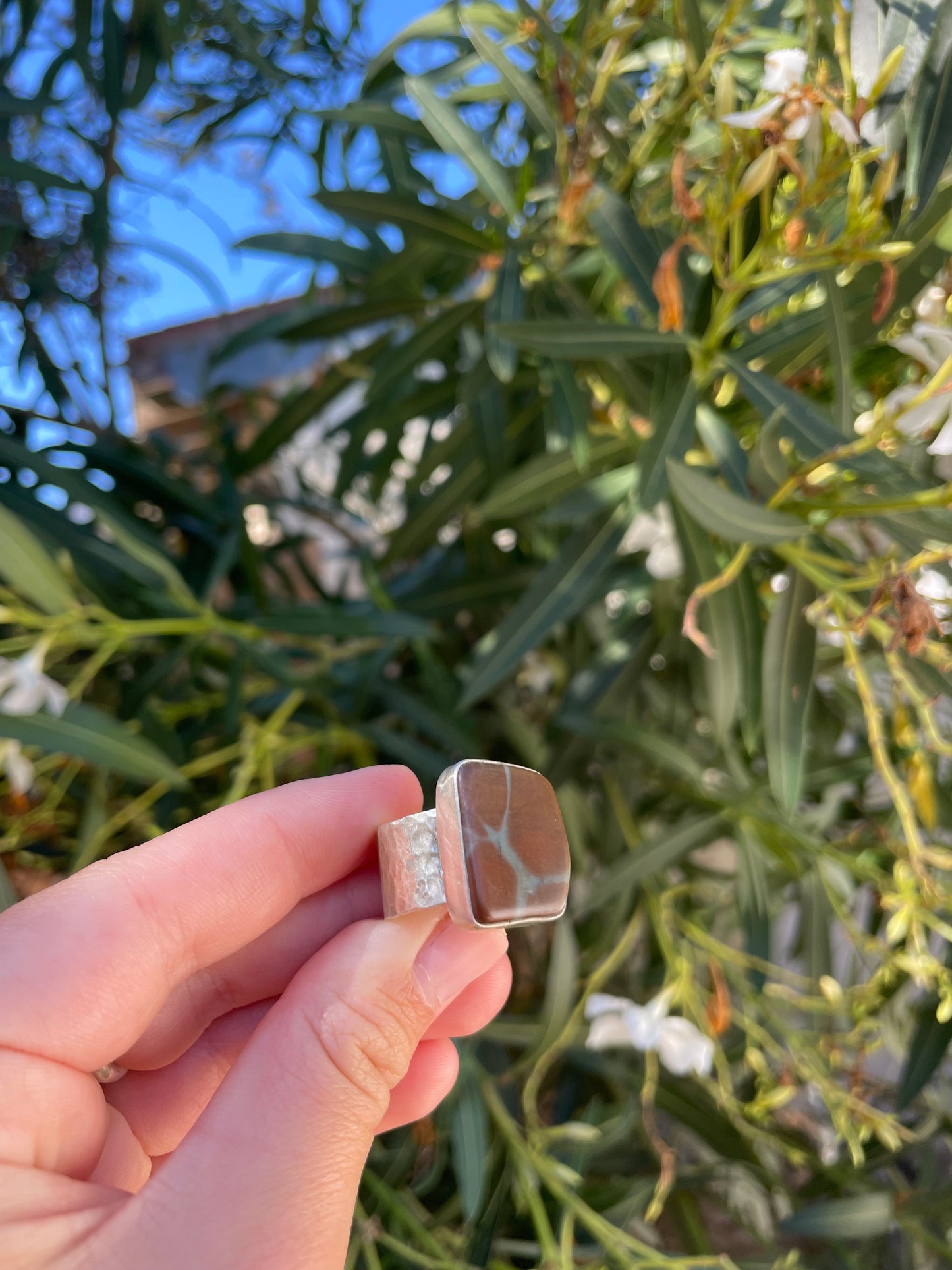 Brown & Blue Jasper Ring Size 10