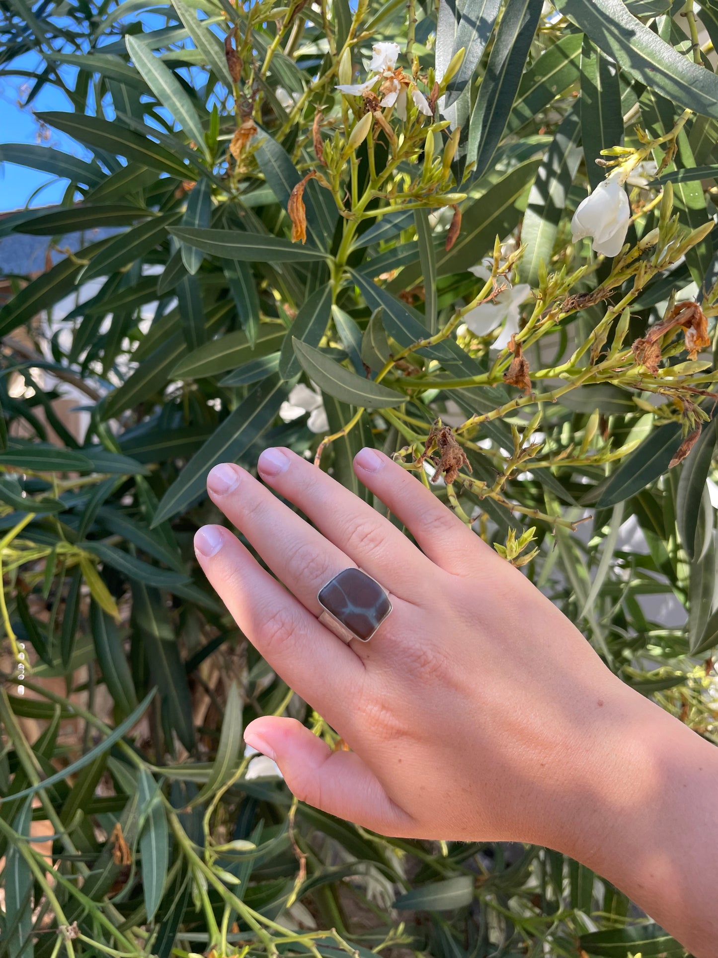 Brown & Blue Jasper Ring Size 10