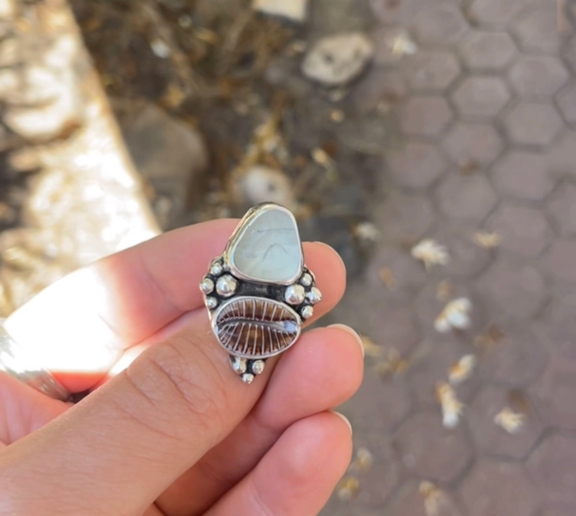 Fluorite & Brown Cowrie Shell Ring Size 5.5