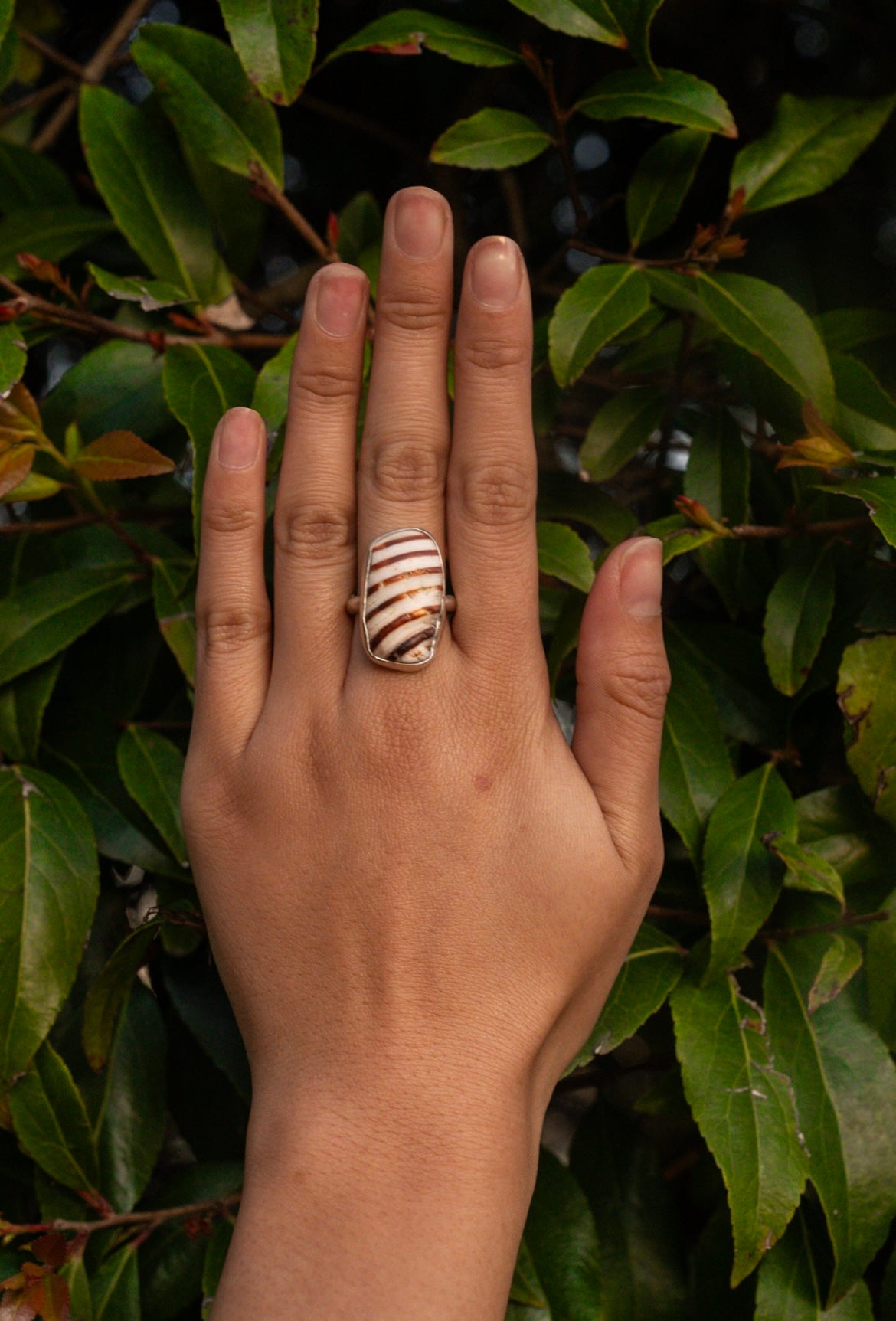 Striped Shell Ring Size 8