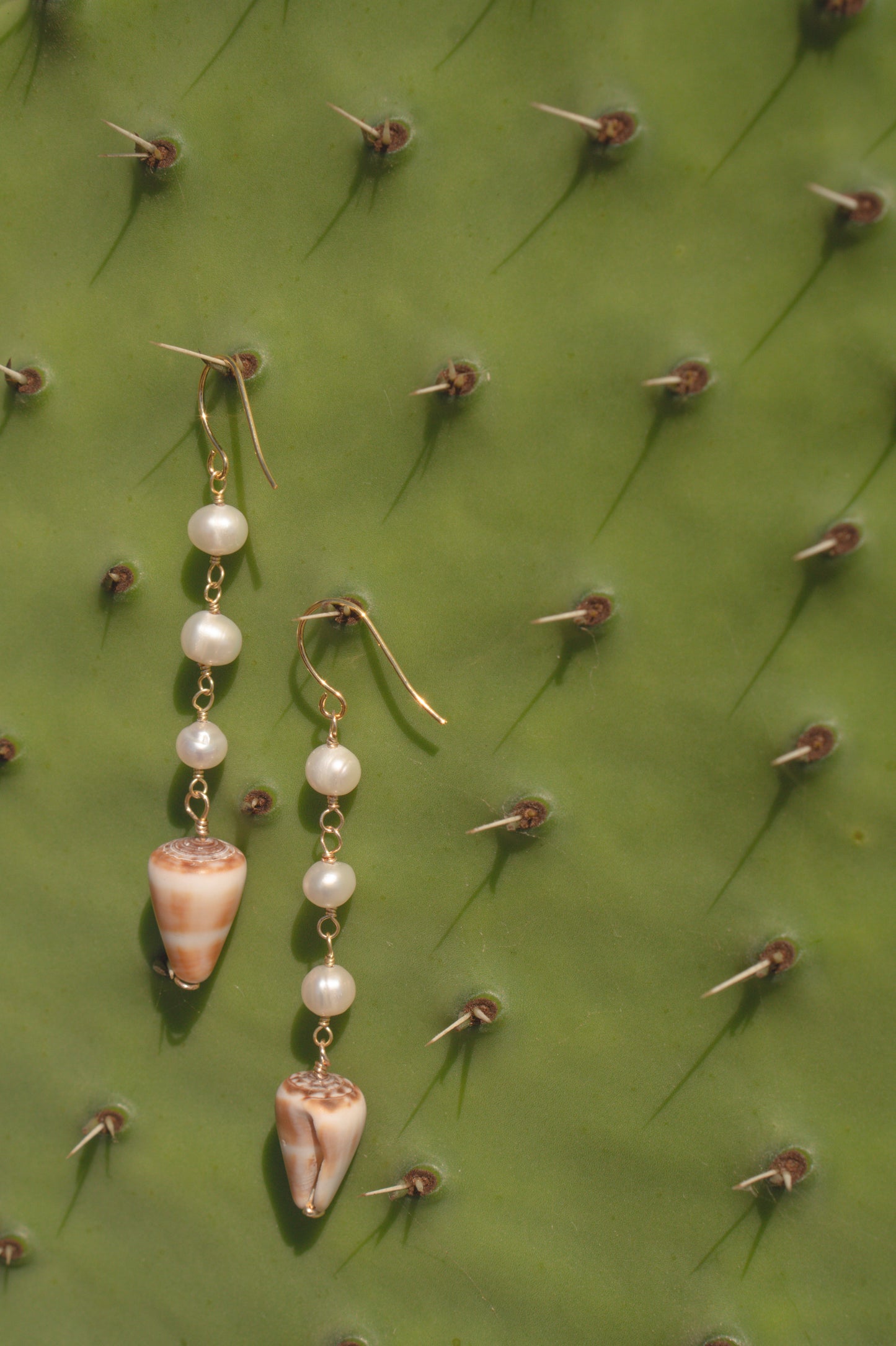 Pearl & Shell Earrings