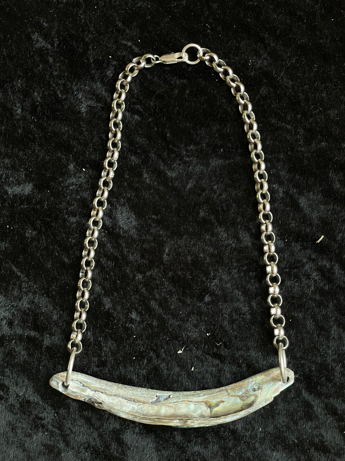 Chunky Abalone Choker Necklace
