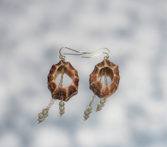 Brown Shell Siren Earrings