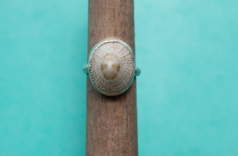 Limpet Shell Ring Size 5