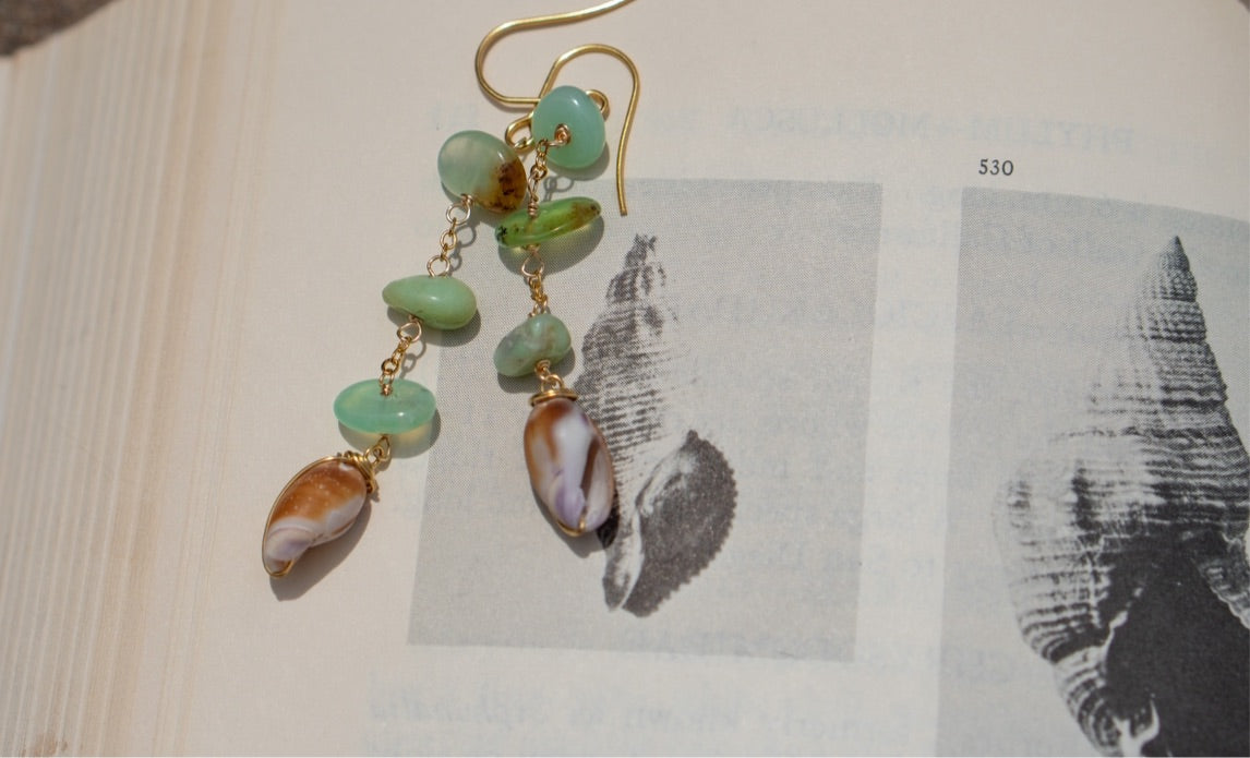 Seafoam Shell Earrings