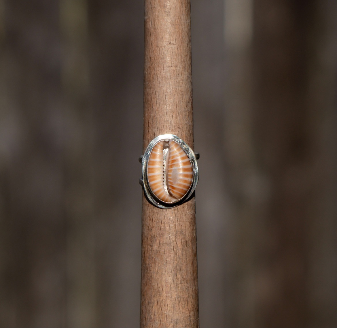 Cowrie Shell Ring Size 4